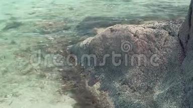塞舌尔。 普拉斯林岛。 清澈的<strong>海水</strong>在岩石上<strong>翻滚</strong>。 小海蟹在石头上爬行.. 旅游、度假